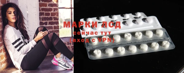 гашик Магас