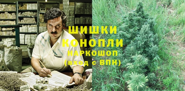 гашик Магас