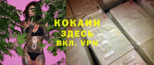 гашик Магас