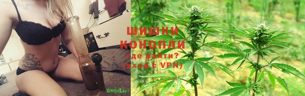 гашик Магас
