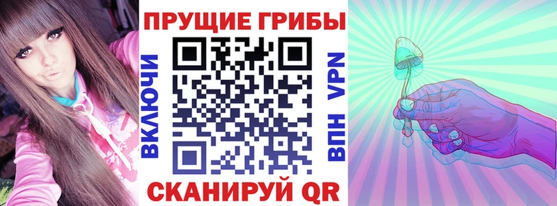 omg как зайти  Новокузнецк  Псилоцибиновые грибы мицелий 